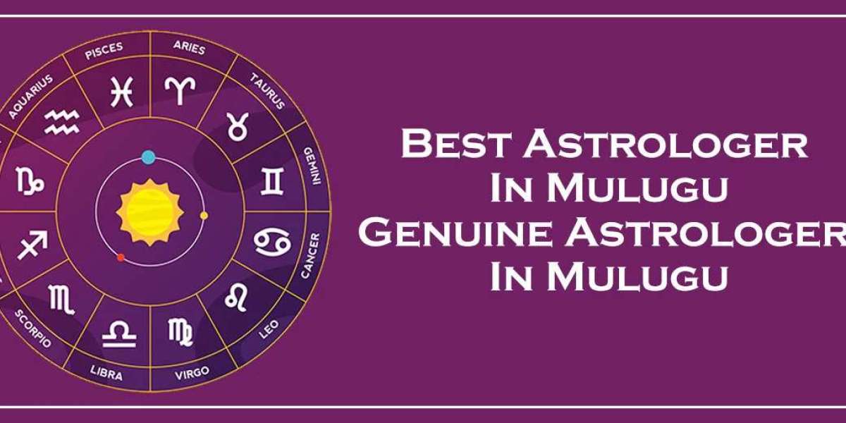 Best Astrologer in Mulugu