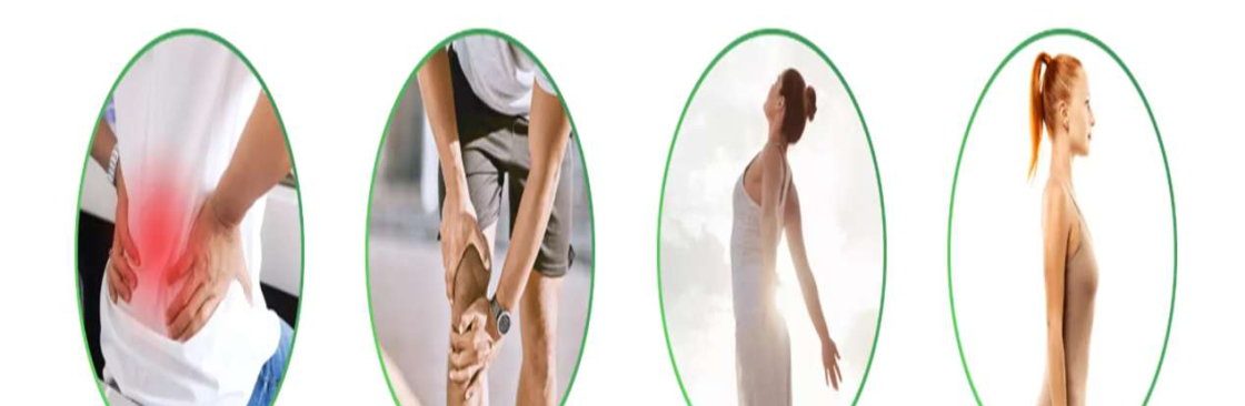 The Holistic Move Cover Image